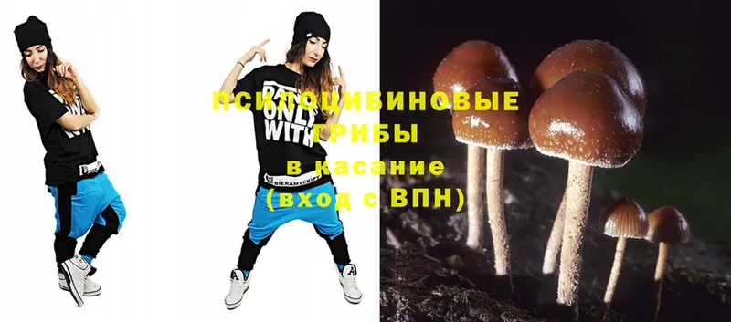 где продают наркотики  Бахчисарай  Псилоцибиновые грибы Psilocybe 